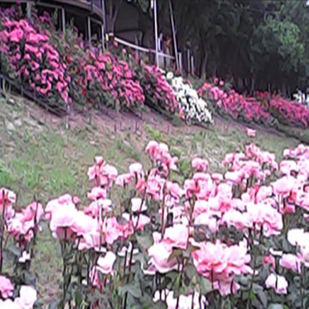 [ Pre-order ] 🇰🇷 Vintage Camcorder 16X zoom