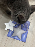 [ Pre-order ] ⭐️ Kul Star Keyring