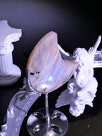 [ 現貨 ] TSCS008 大月亮石超滿藍光手握連支架