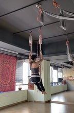 [ Pre-order ] Holty ( 4colour )