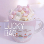 🎄2025 XMAS Lucky Bag