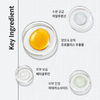 [ 現貨 ] CNP 蜂膠能量導入精華 Propolis Energy Active Ampule