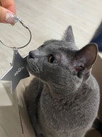 [ Pre-order ] ⭐️ Kul Star Keyring