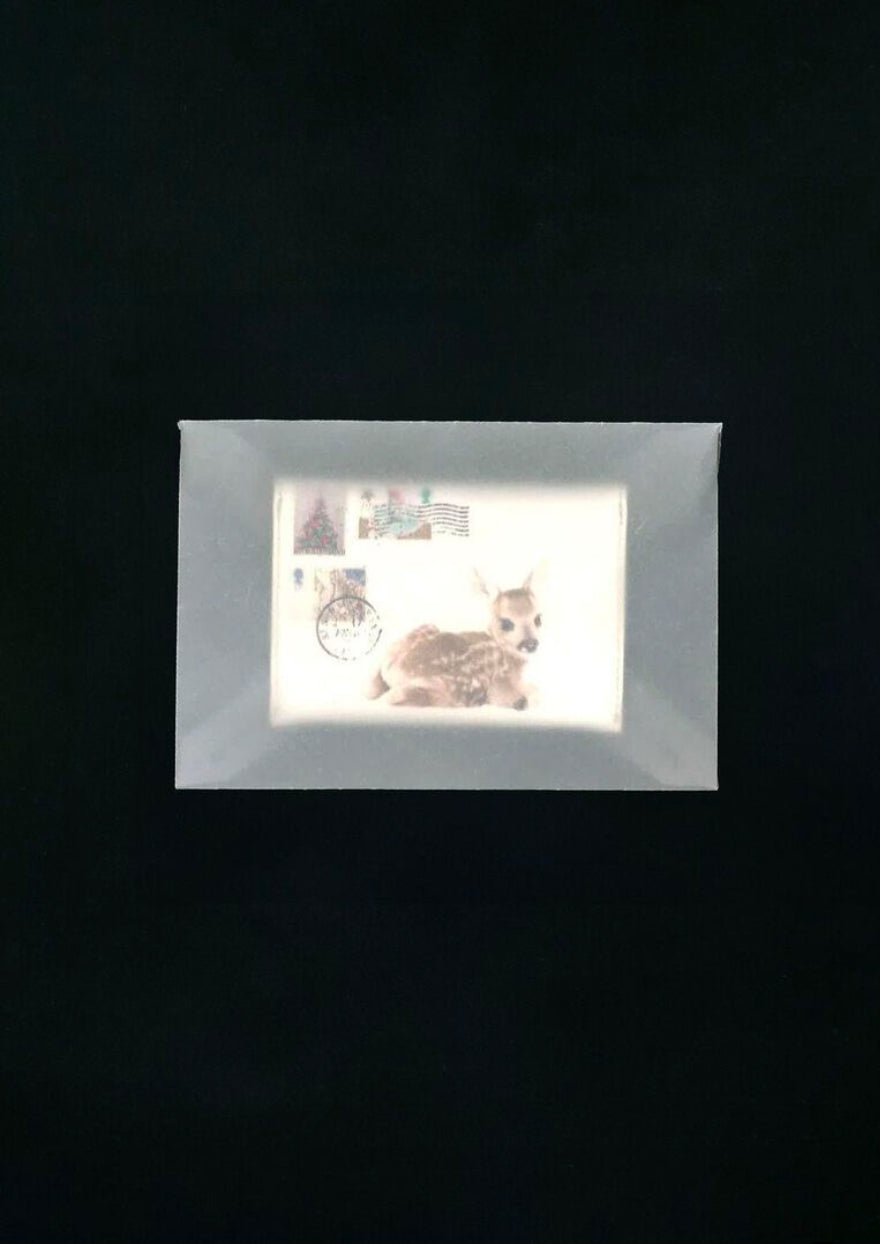 [ Pre-order ] Sculptor Poor Dear Card Wallet White
