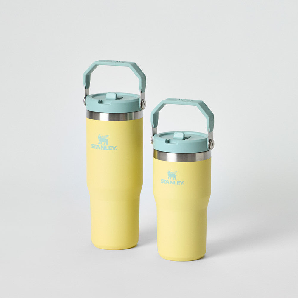 [ 🆕 Pre-order ] Stanley The Iceflow Flip Straw Tumbler