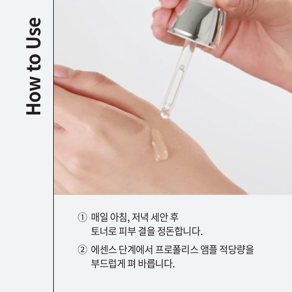 [ 現貨 ] CNP 蜂膠能量導入精華 Propolis Energy Active Ampule