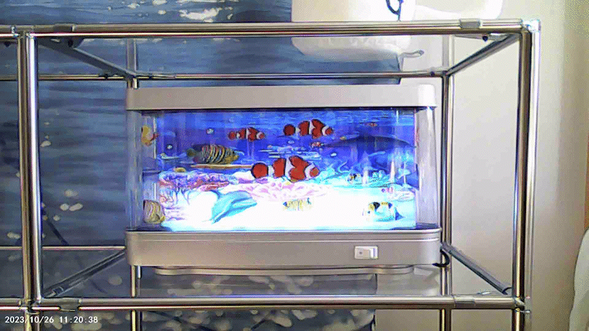 [ Pre-order ] 🇰🇷 Vintage Camcorder 16X zoom