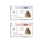 [ Pre-order ] Capybara Lovers Club MagSafe Card Pocket