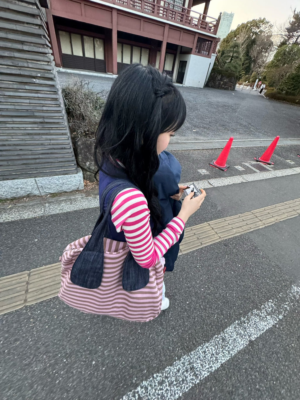 [ Pre-order ] Ema Tiny Friends Stripe Bag