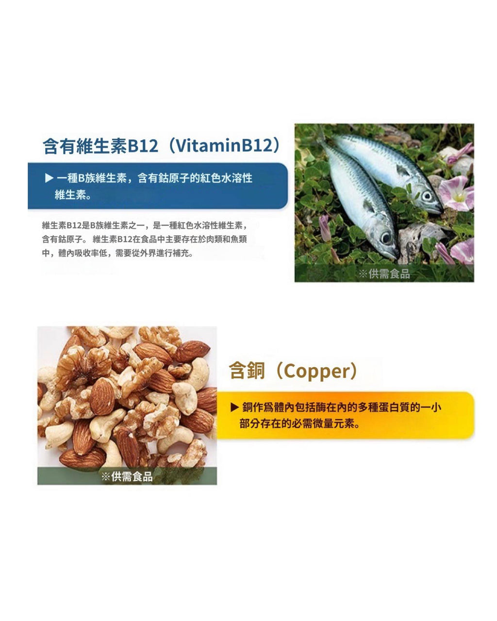 [ 店主推薦 Pre-order ] 鍾根堂鐵葉酸維他命D膠囊PLUS 60片