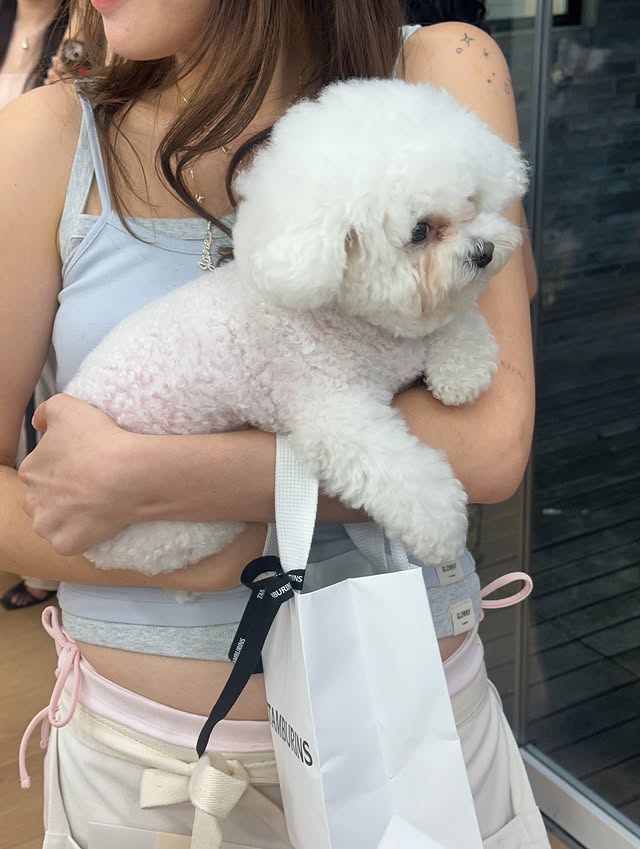 [ Pre-order ] Glowny G Button Fly Pants