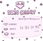 [ Pre-order ] Lovers Bra Panty Set