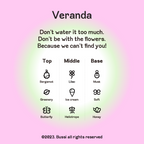 [ Pre-order ] Bussi EDP 香水