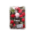 [ Pre-order ] Bussi EDP 香水