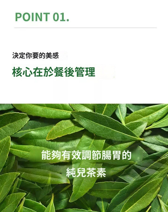 [ 來港中 ] Vitalbeautie 💚 阻斷油脂形成綠茶片 Body Fat Control ( 30日 )