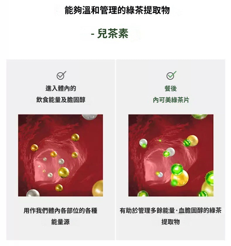 [ 來港中 ] Vitalbeautie 💚 阻斷油脂形成綠茶片 Body Fat Control ( 30日 )