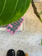 [ Pre-order ] Hope Hard Phone Case